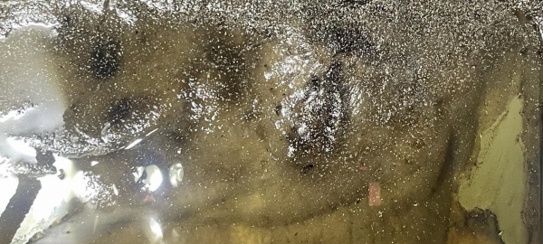 Das bloße Spülen eines Dieseltanks ist wirklich unzureichend